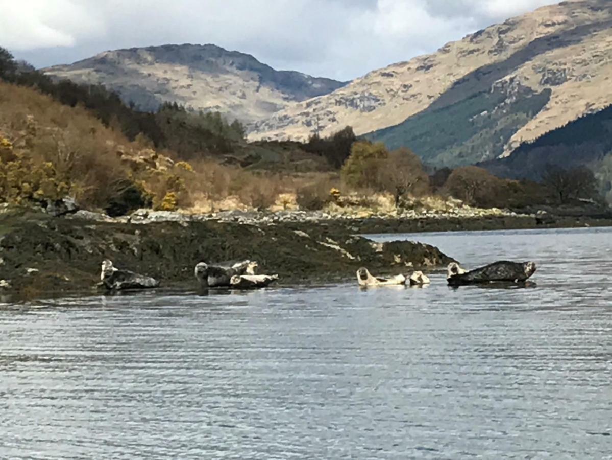 Carrick Farm Ξενοδοχείο Lochgoilhead Εξωτερικό φωτογραφία